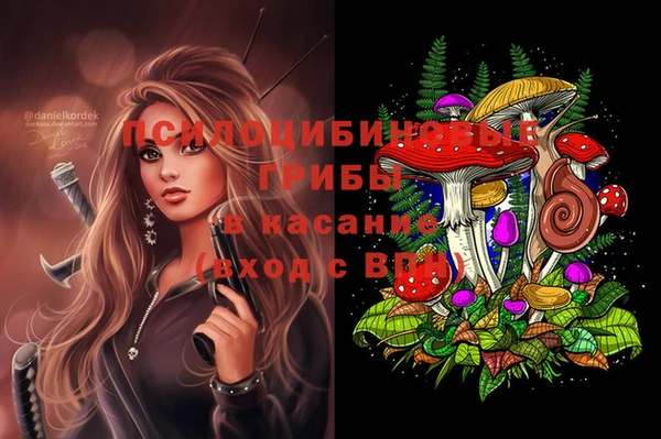 винт Инсар