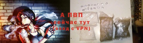 винт Инсар
