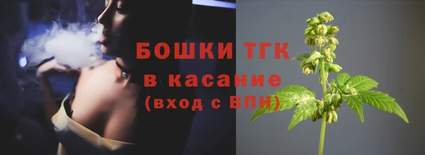 гидропоника Каменка
