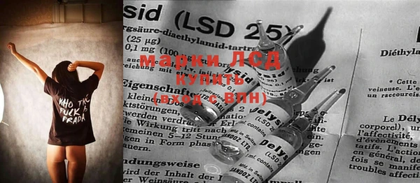 каннабис Инта