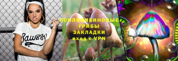 гидропоника Каменка