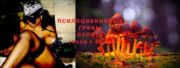 метадон Каменногорск