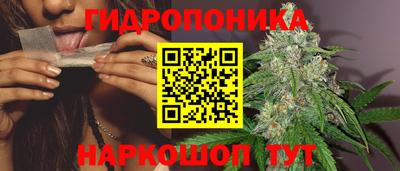 спайс Гусев