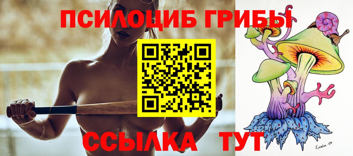 Псилоцибиновые грибы GOLDEN TEACHER  Псилоцибиновые грибы мицелий  Вход с VPN  Нальчик 