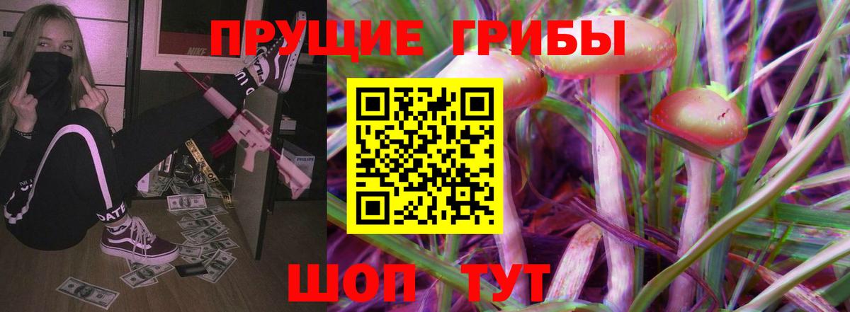 Псилоцибиновые грибы Psilocybe Нальчик