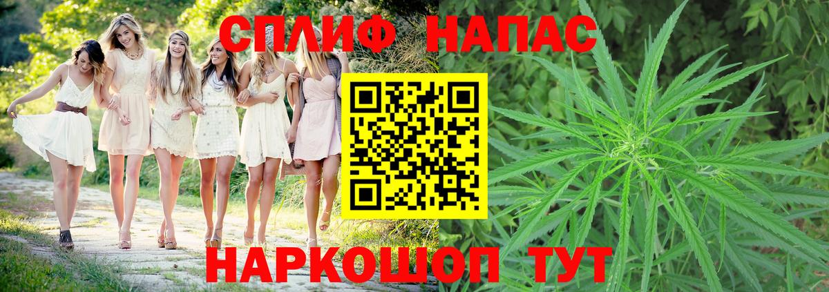 Нальчик  Бошки Шишки MAZAR  Вход с VPN  Бошки Шишки гибрид 